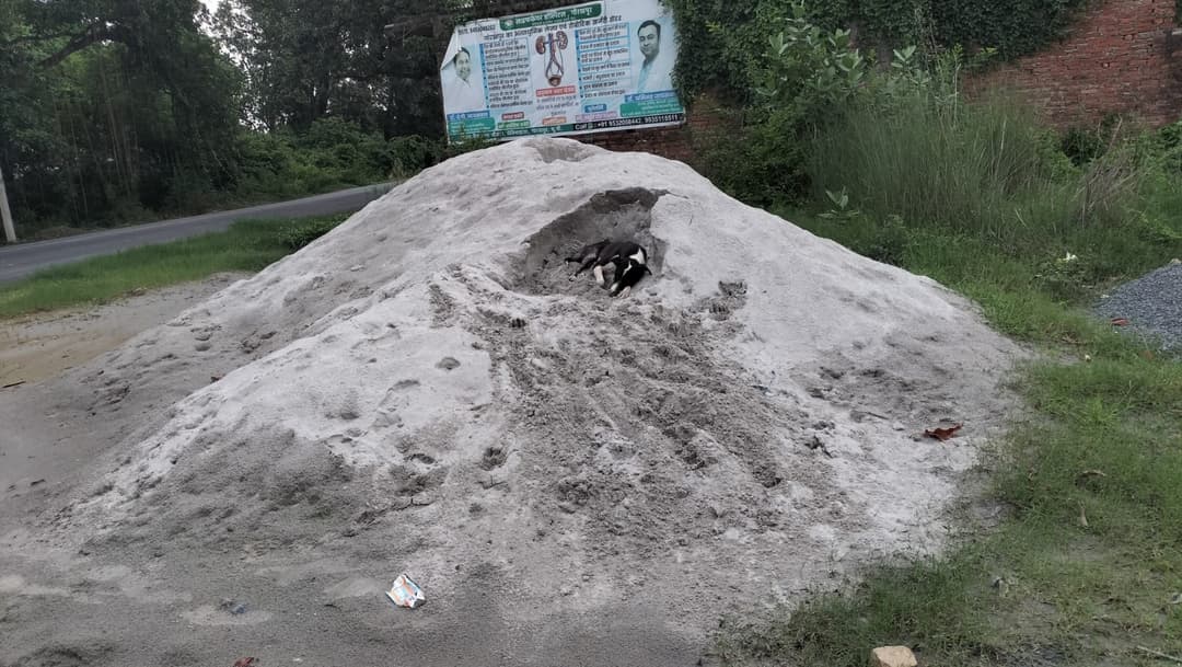Balu (River Sand)